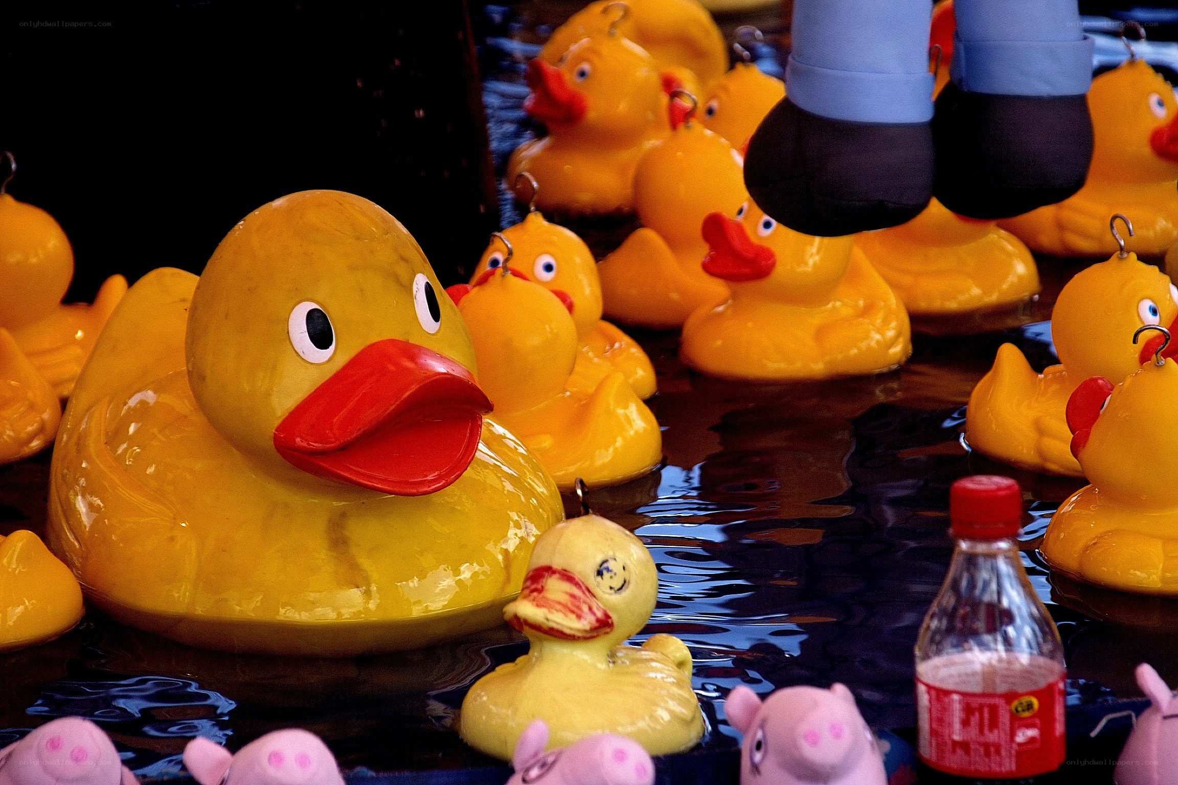 Rubber ducks in a water game