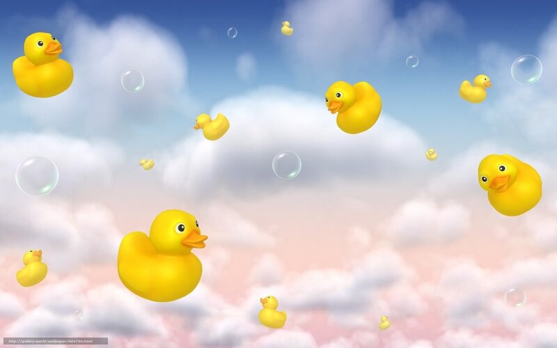 Rubber ducks in the sky