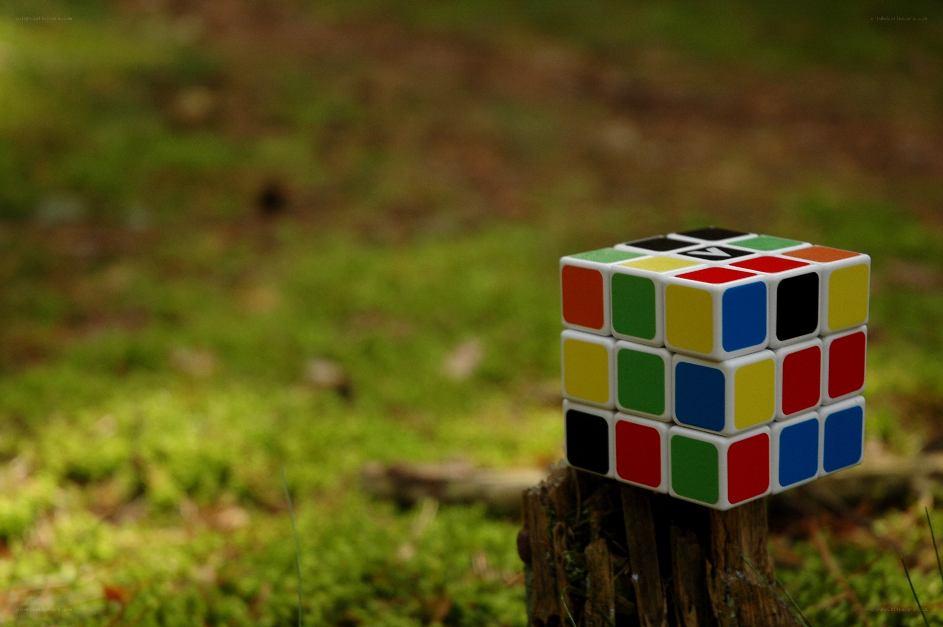 Rubik's cube on a stump