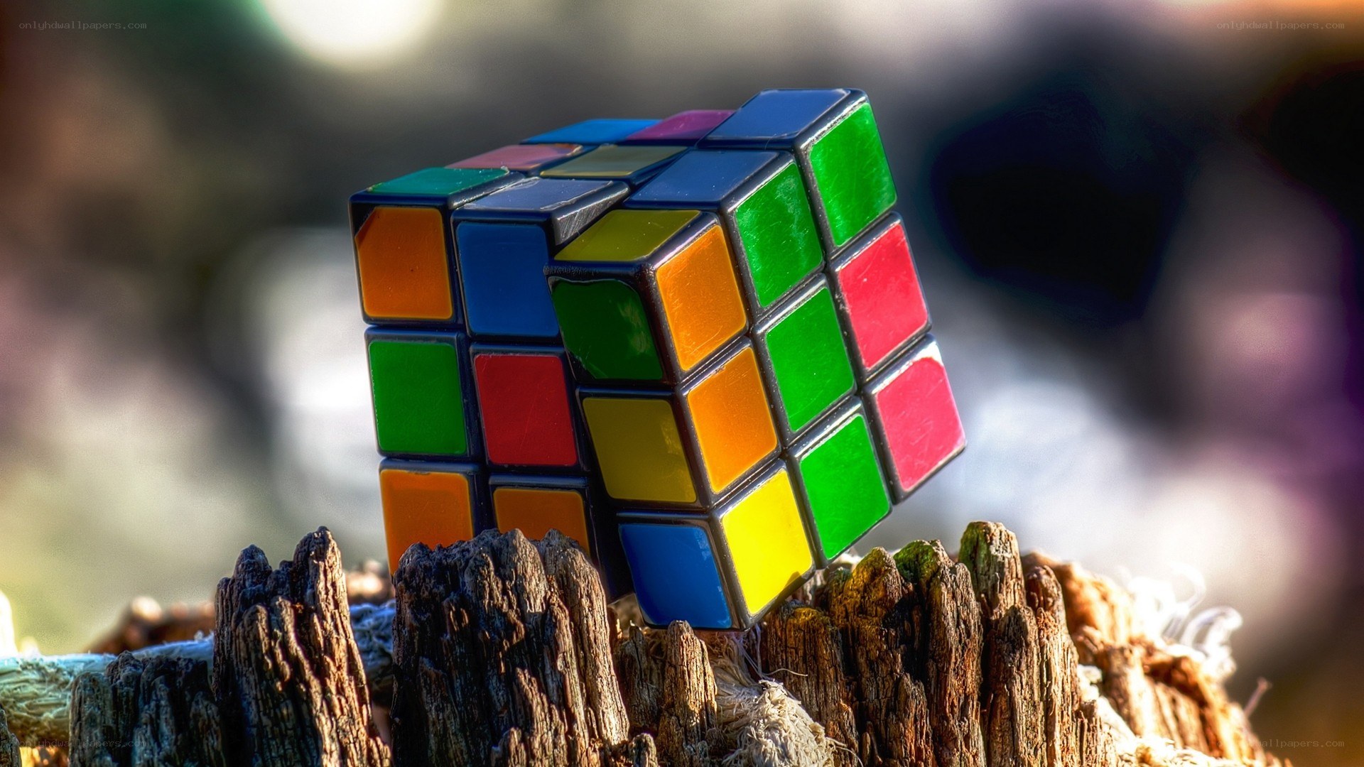 Rubik's cube on a wooden stump