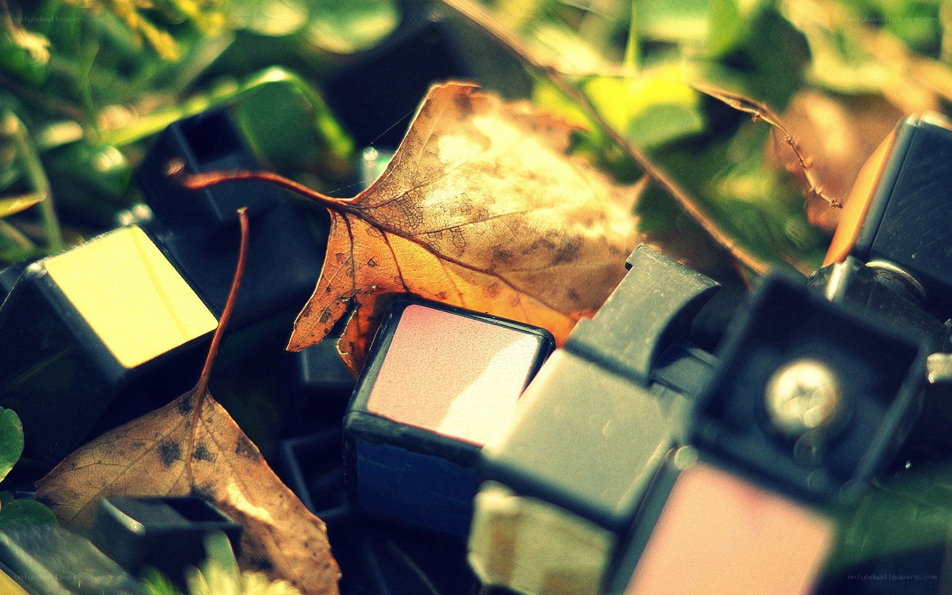 Rubik's cube with autumn leaves