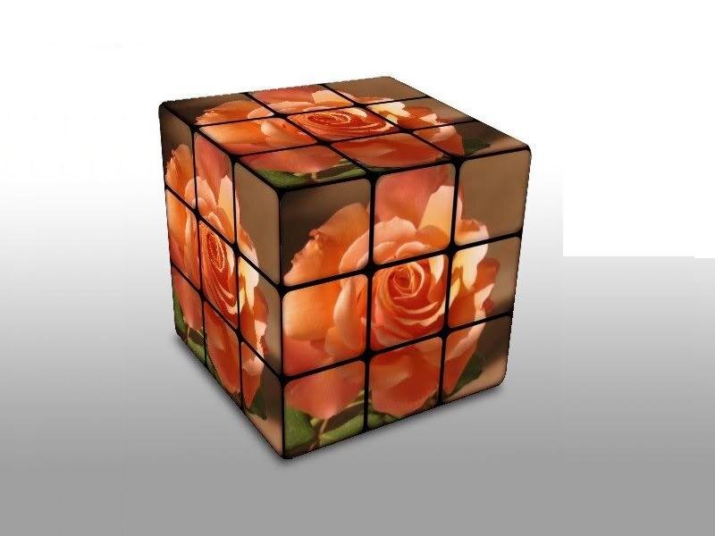 Rubik's Cube with Roses