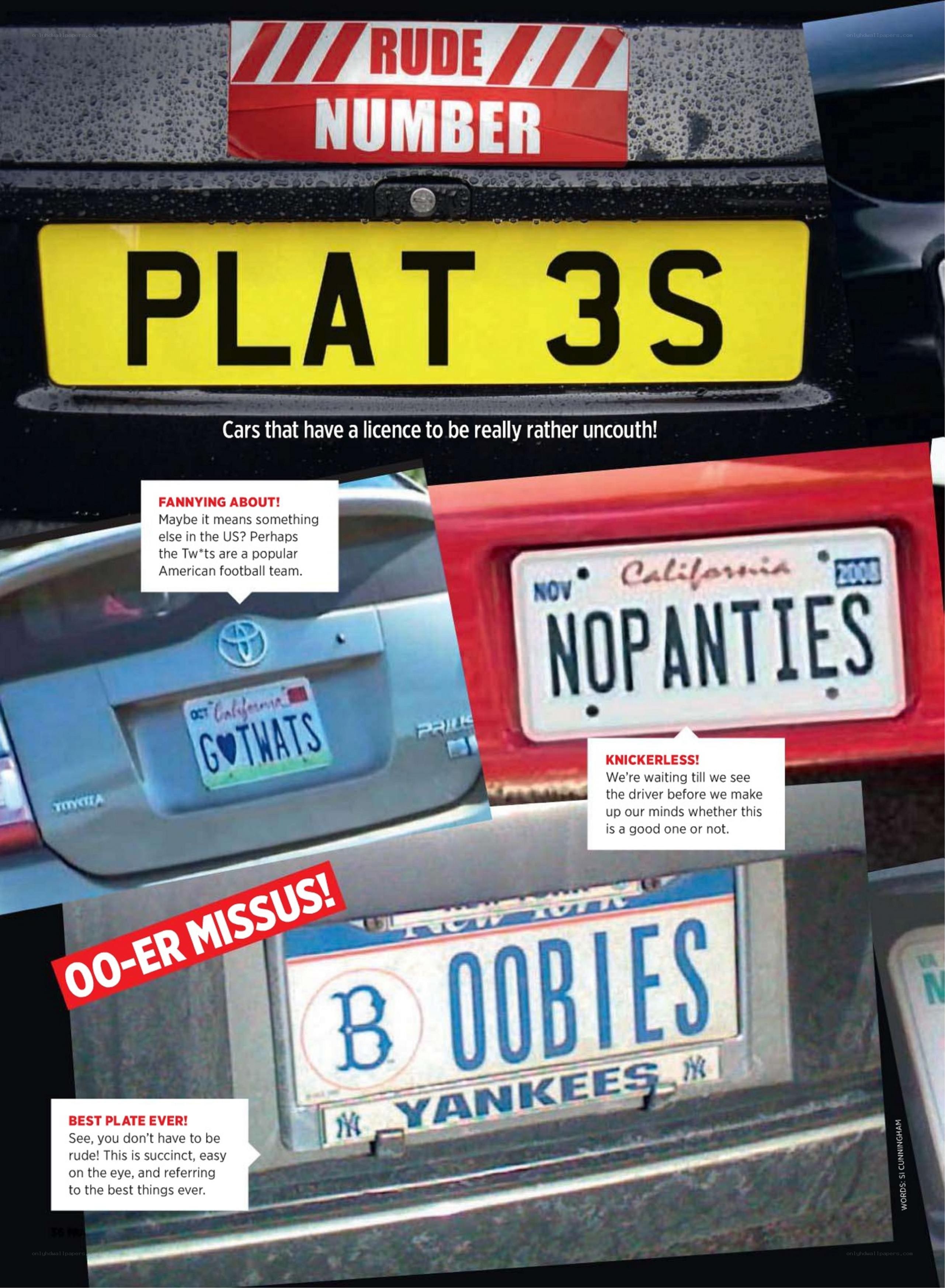 Rude License Plates