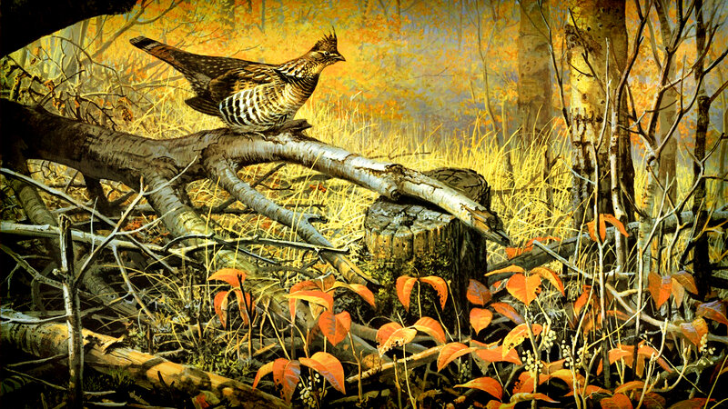 Ruffed Grouse on Log — Orange