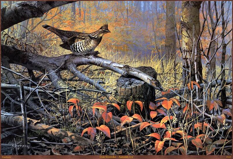 Ruffed Grouse on Log