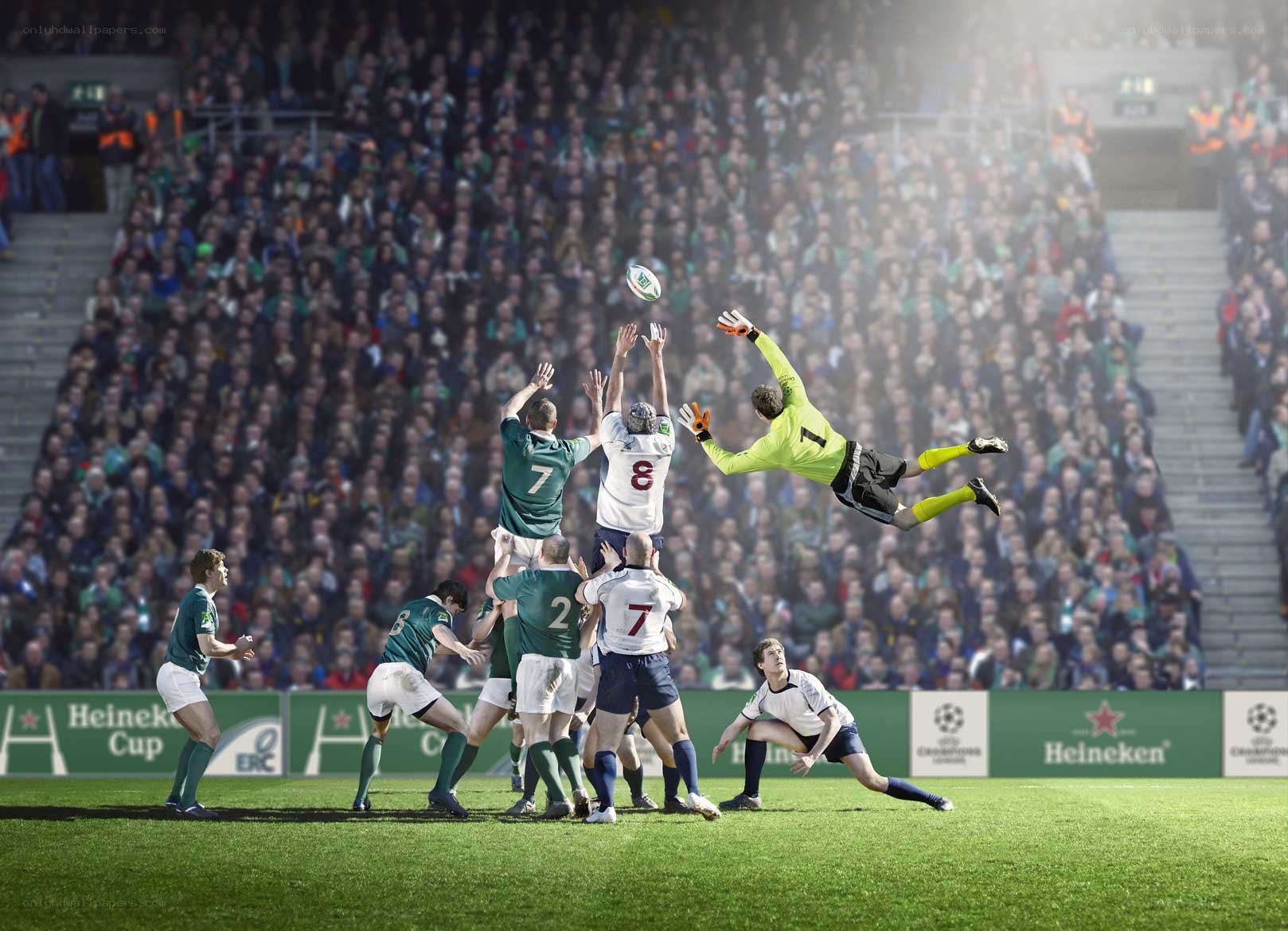 Rugby lineout in stadium