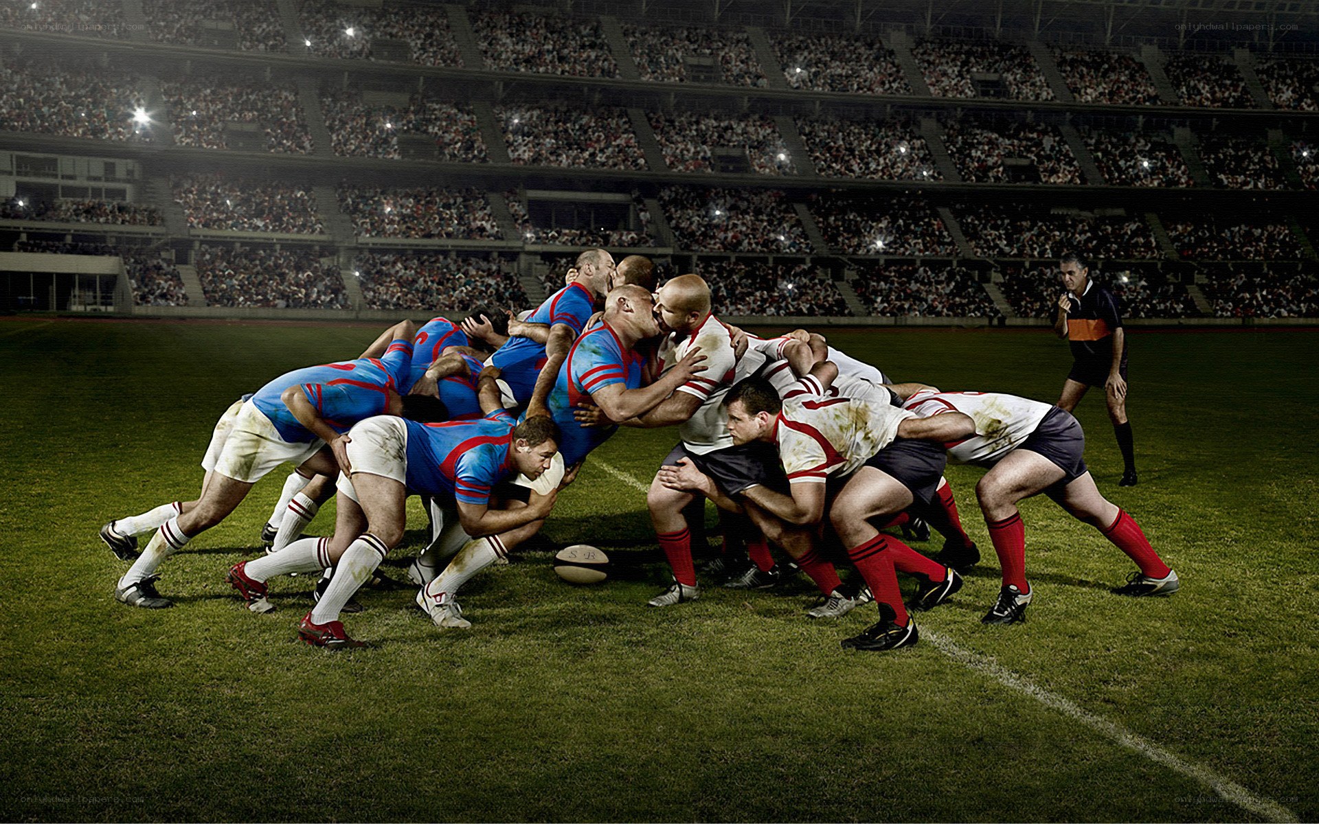 Rugby players in scrum