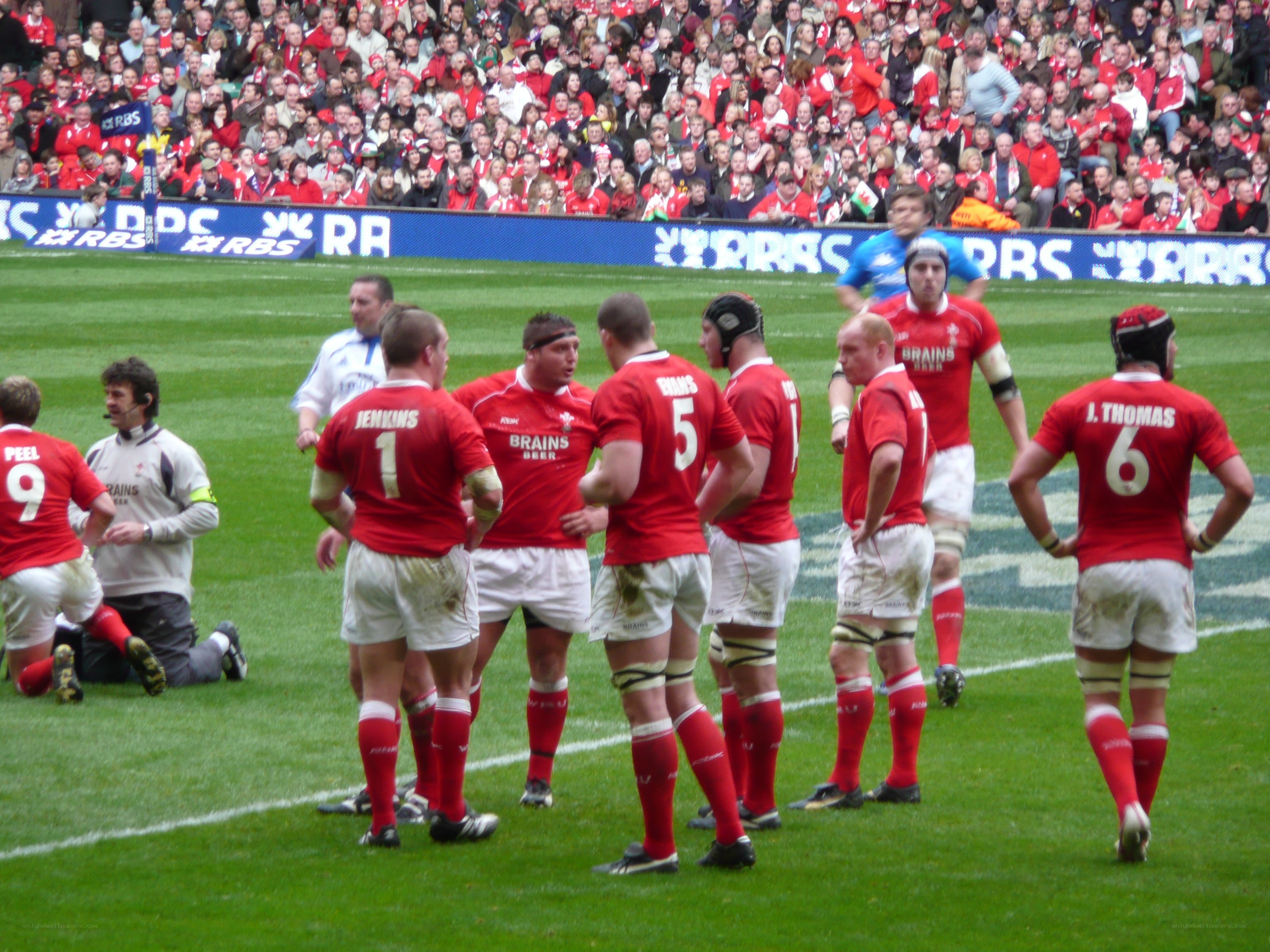 Rugby players on field