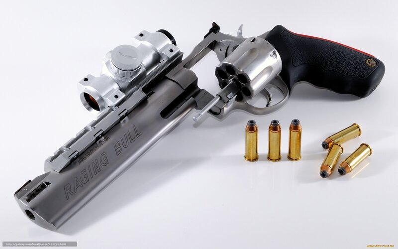 Ruger Raging Bull Revolver — Silver, Neutral