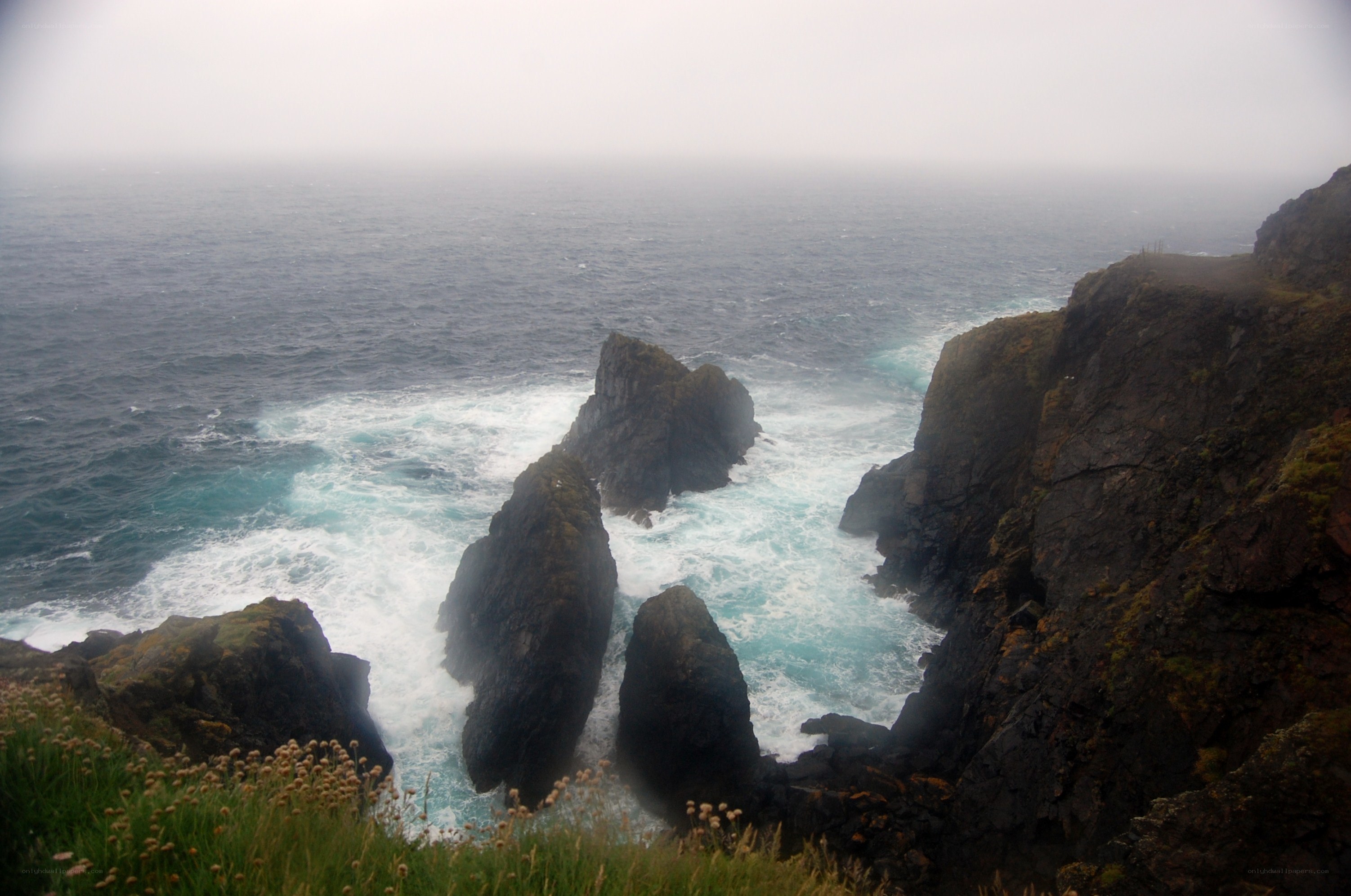 Rugged coastal cliffs in fog