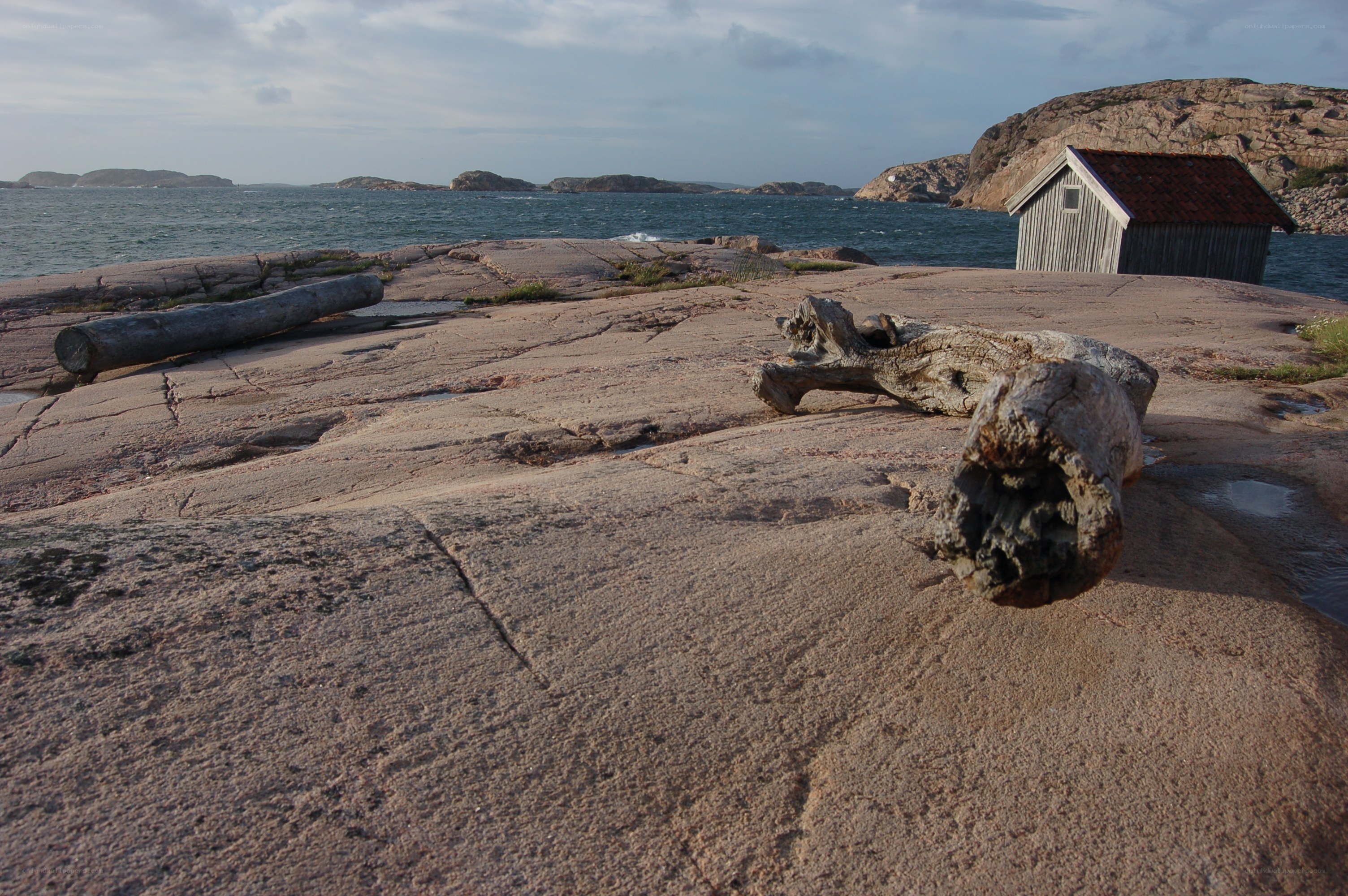 Rugged coastal scene with driftwood