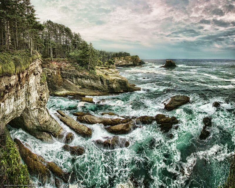 Rugged Coastline with Forest