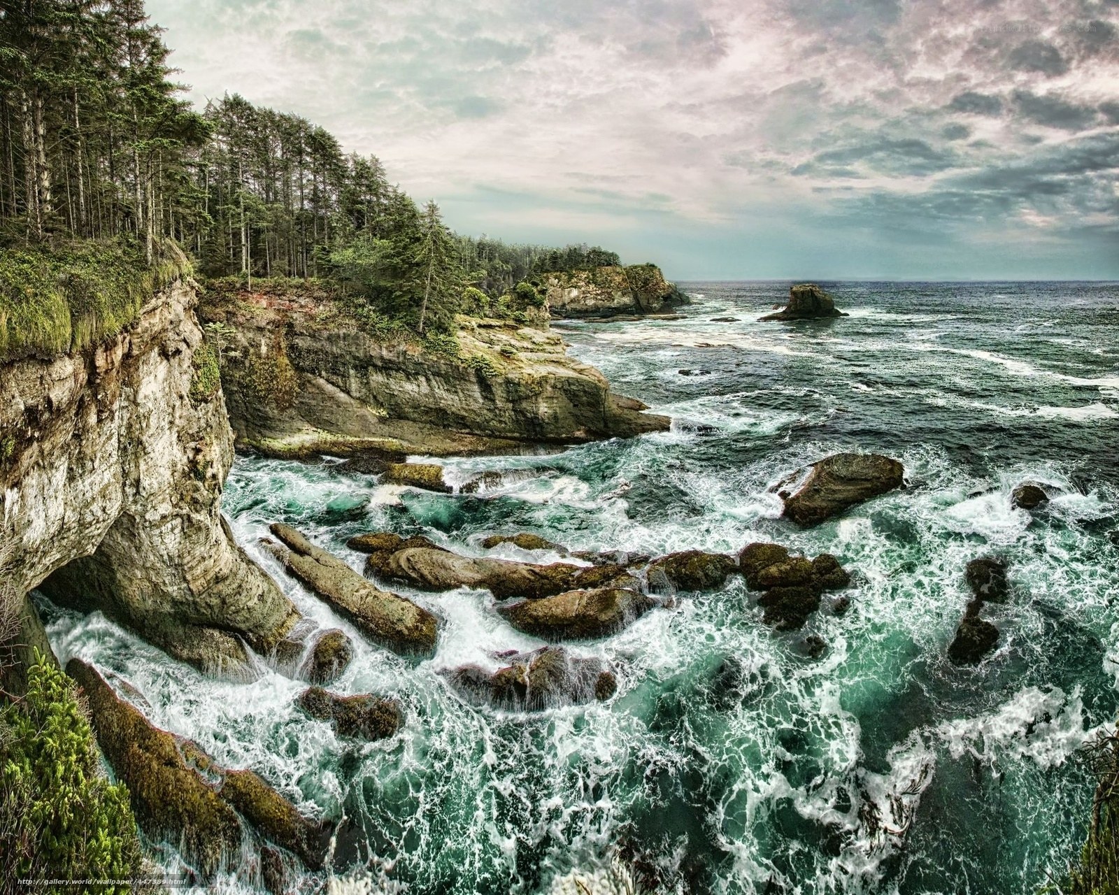 Rugged Coastline with Forest