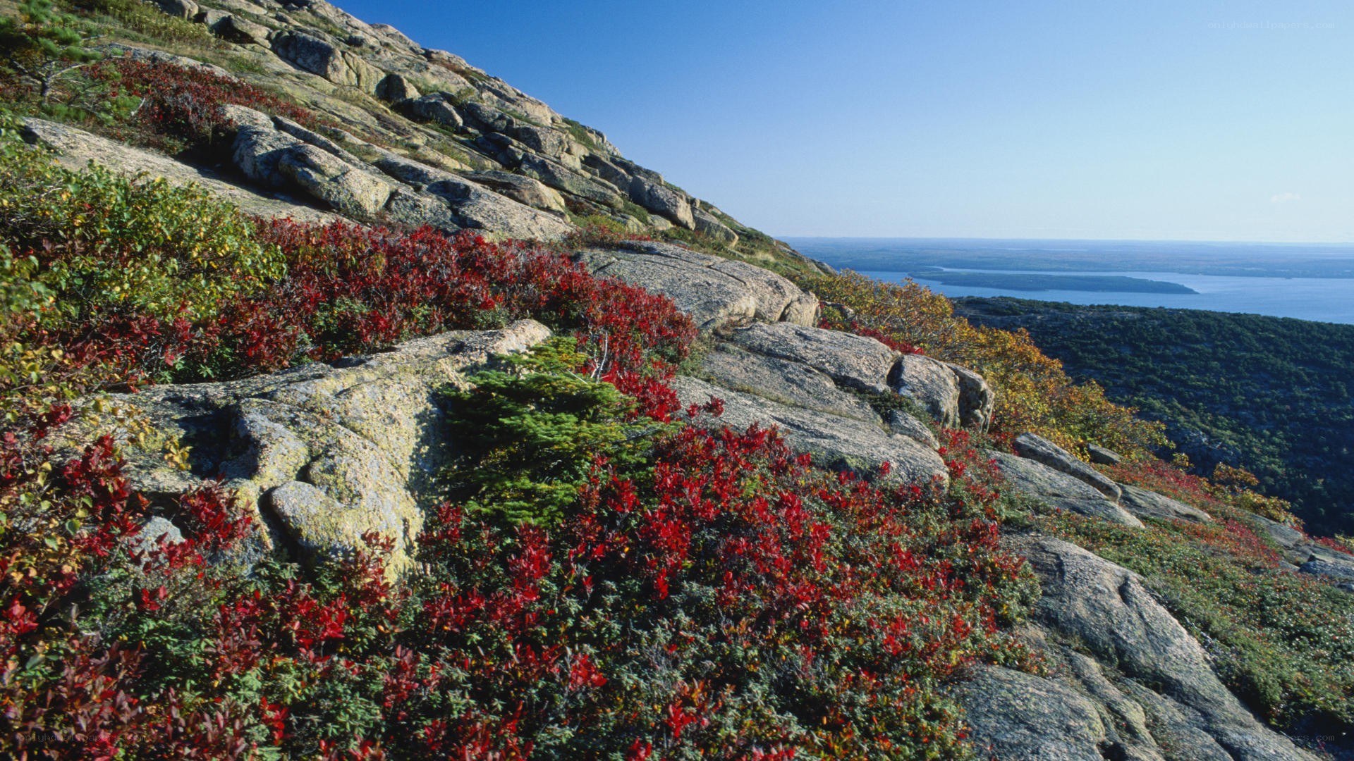 Rugged hillside with autumn foliage