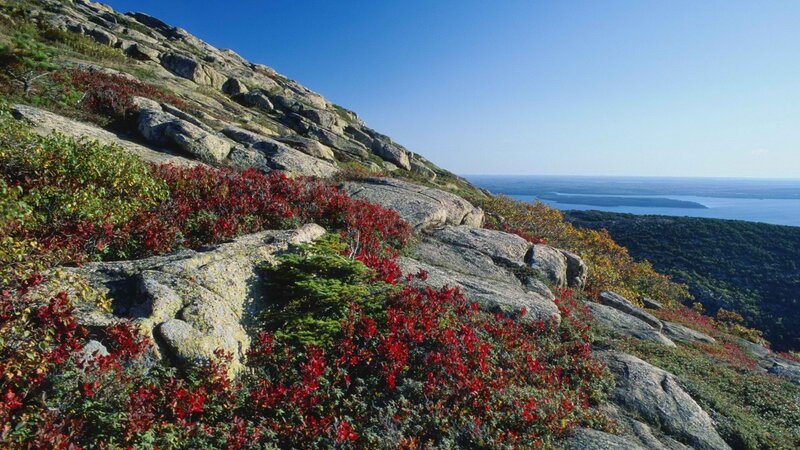 Rugged hillside with autumn foliage