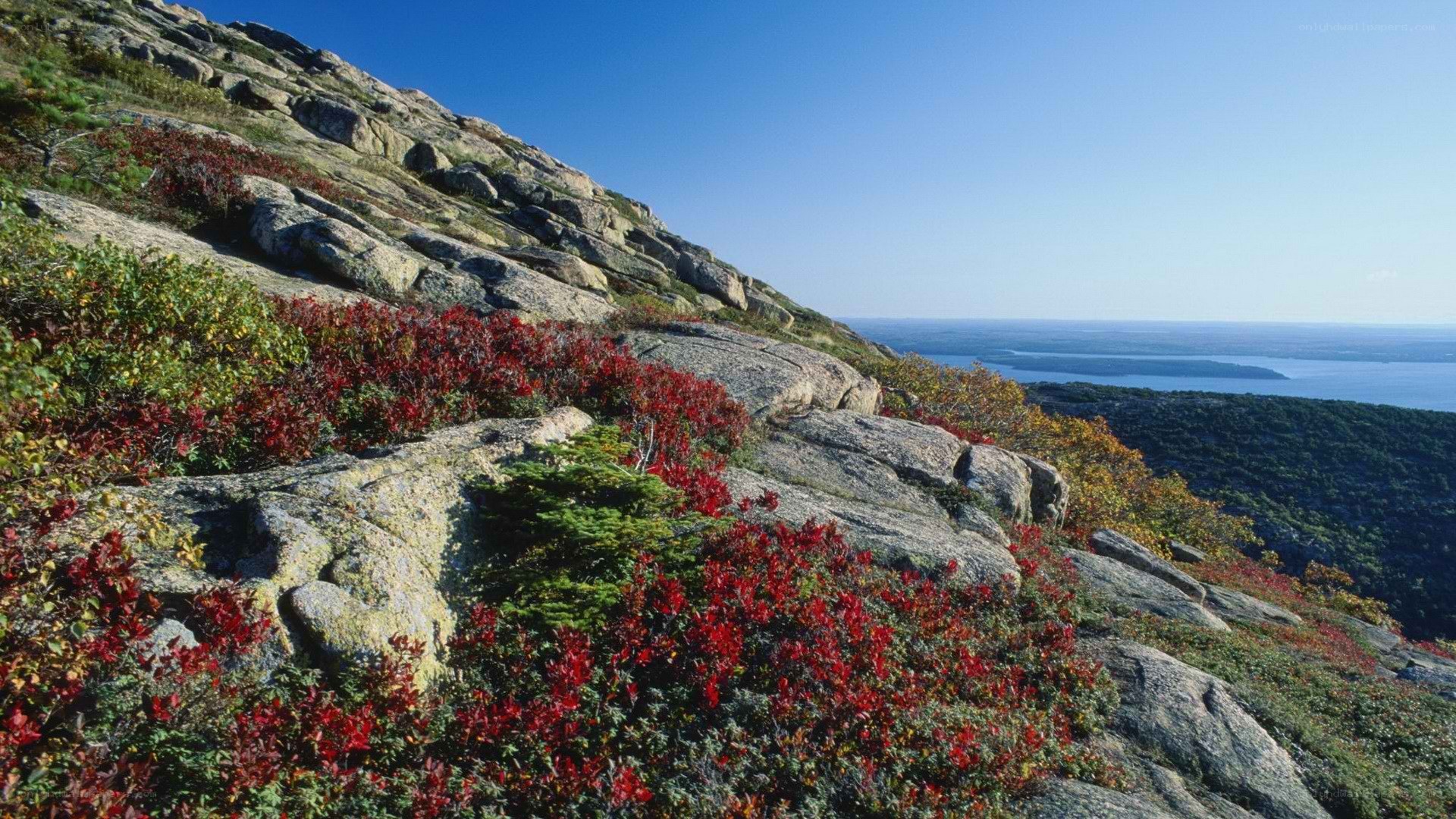 Rugged hillside with autumn foliage