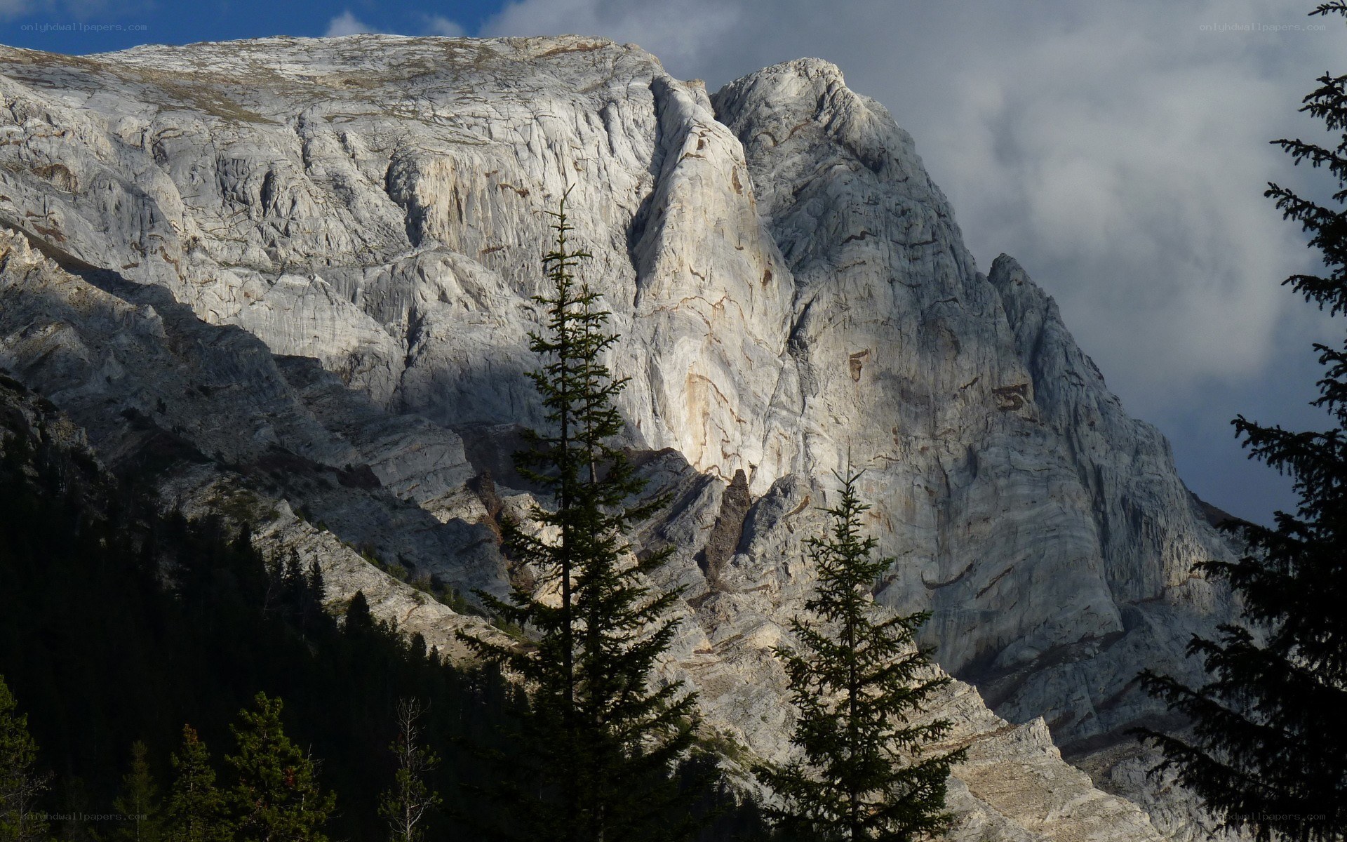 Rugged mountain peak with evergreens