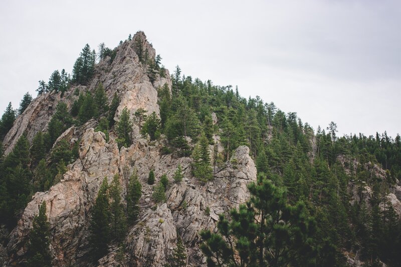 Rugged mountain peak with pine trees