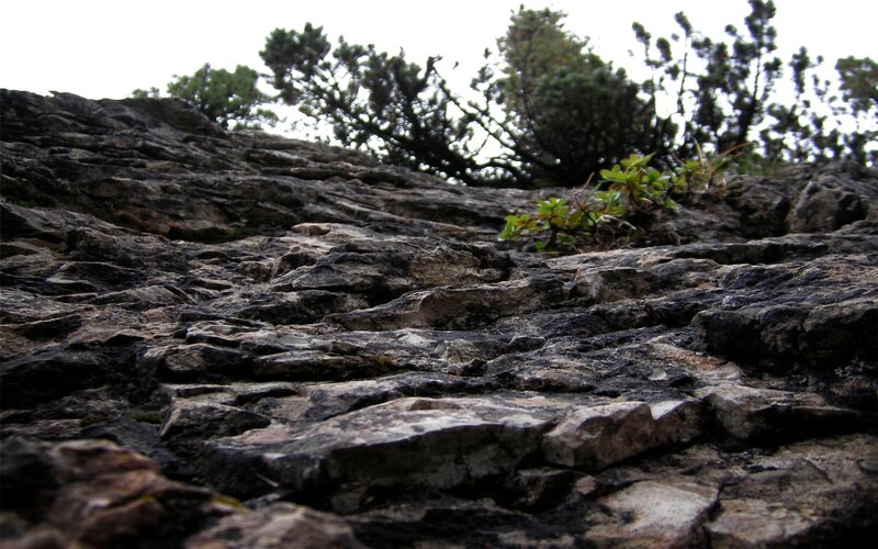 Rugged rock formation with greenery