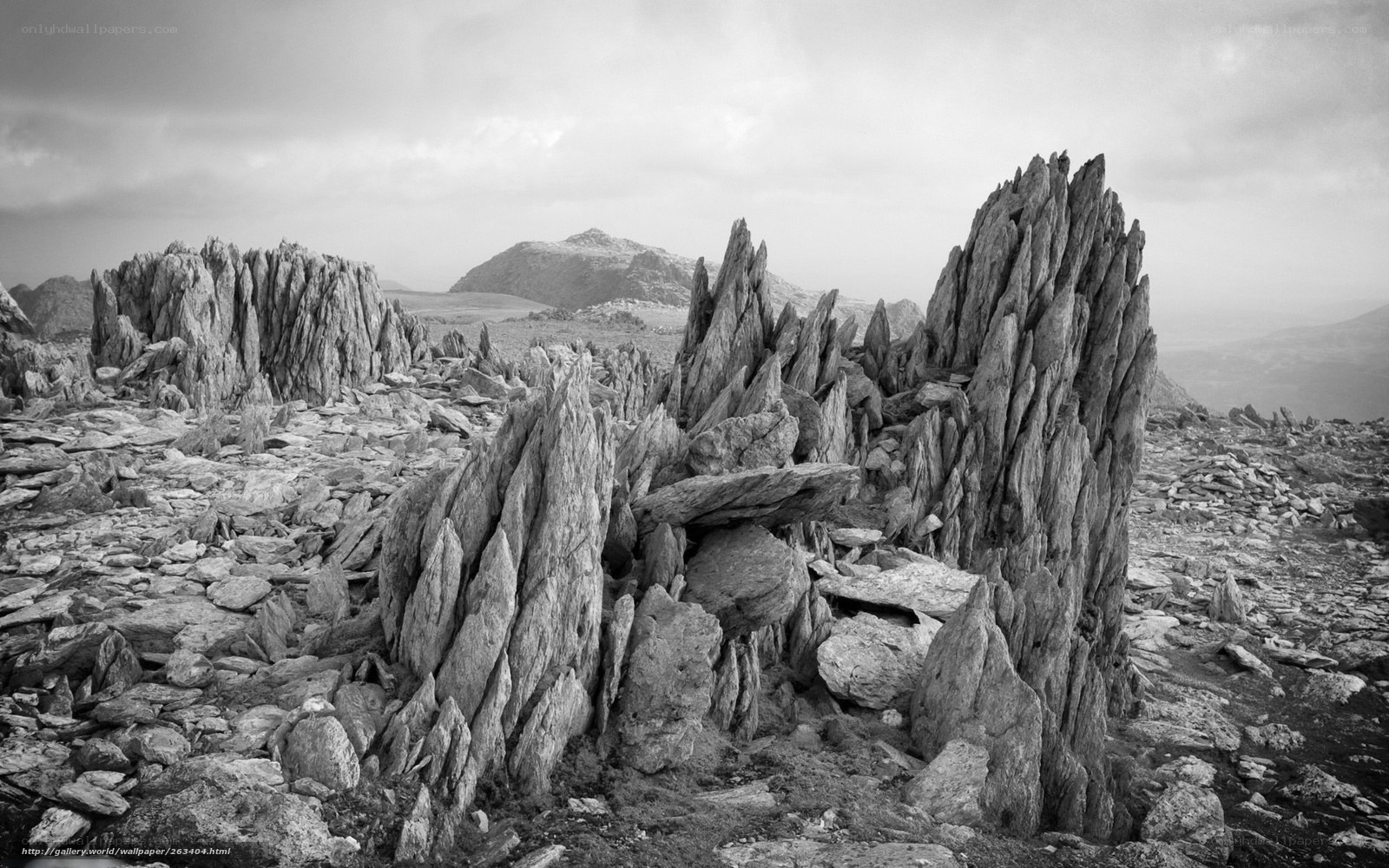 Rugged rock formations in a mountain landscape