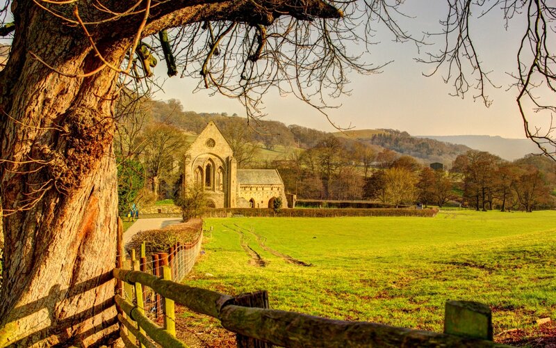 Ruined Abbey in Field