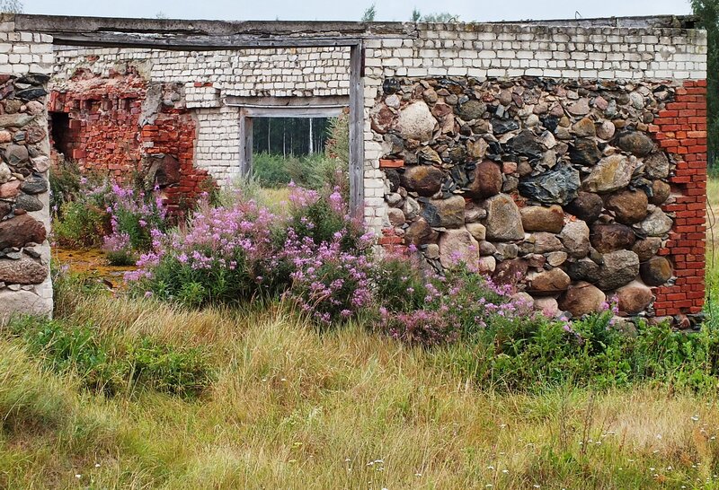 Ruined Brick Building — Green, Overgrown