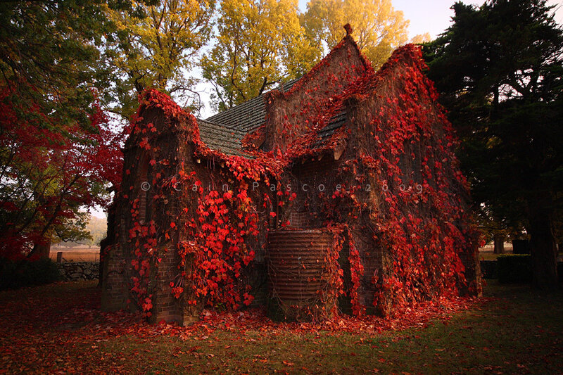 Ruined Brick Building — Red