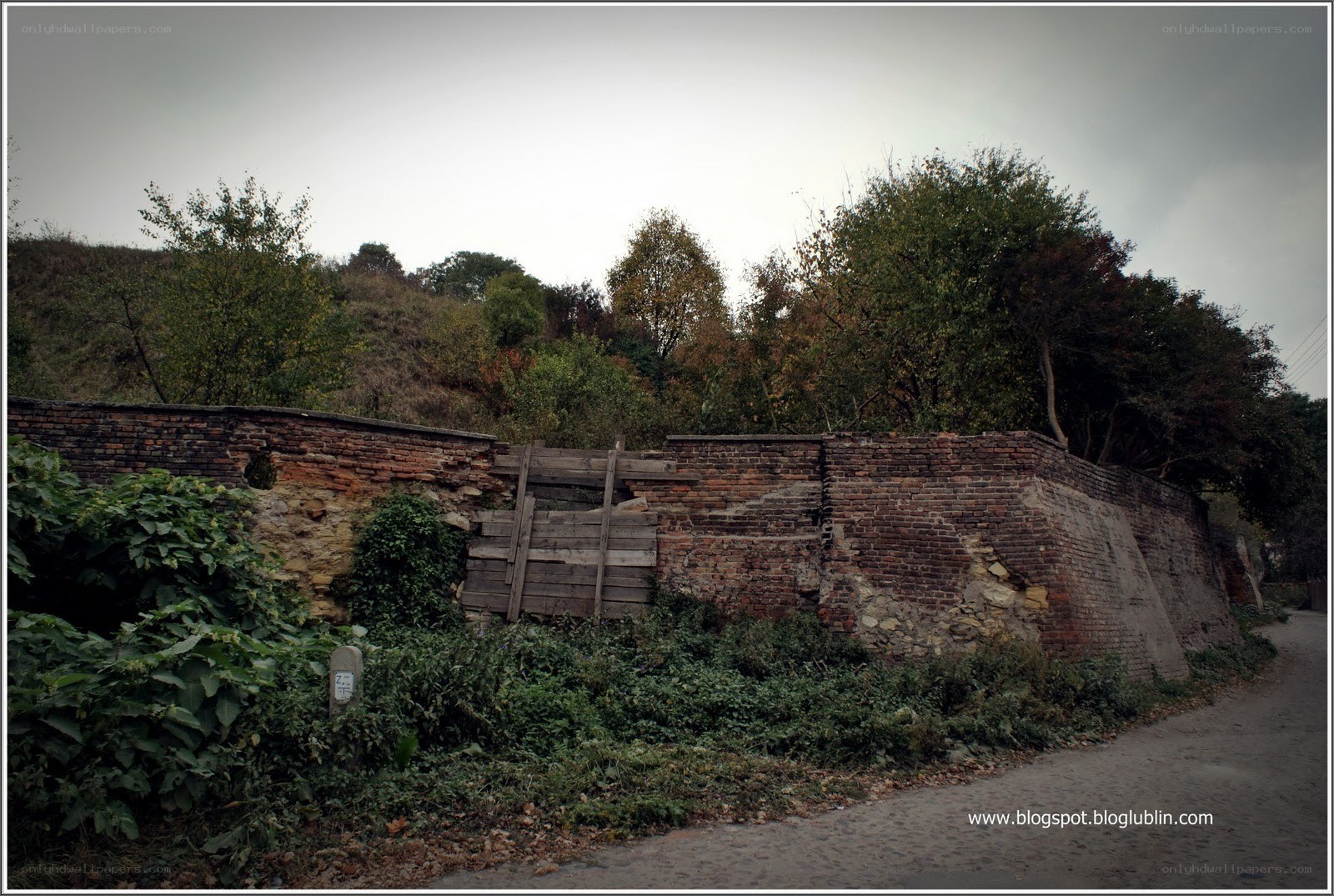 ruined brick wall and overgrown path