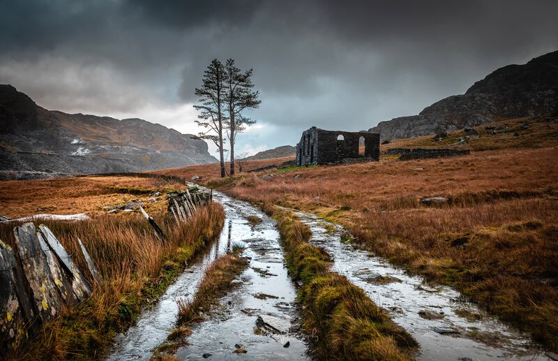Ruined Building in Field — Brown, Dramatic