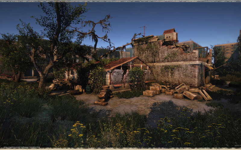 Ruined building overgrown with plants