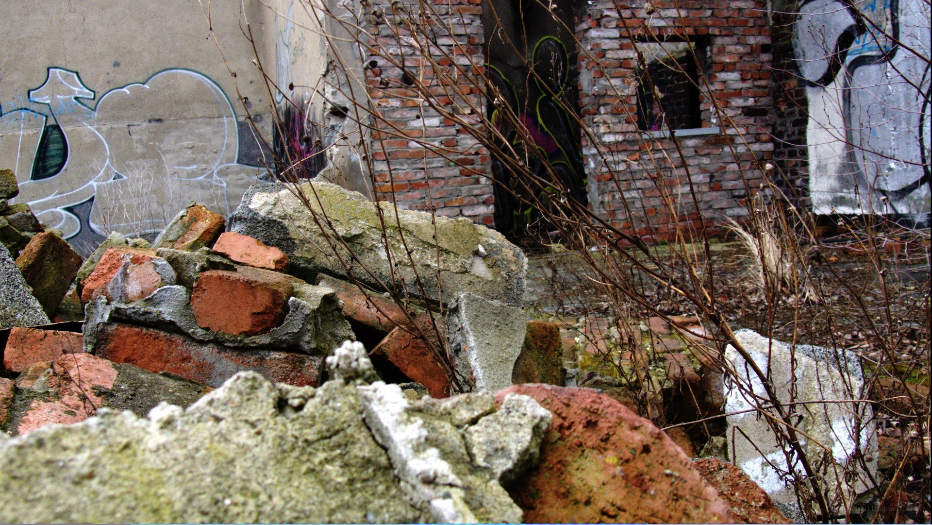ruined building with graffiti