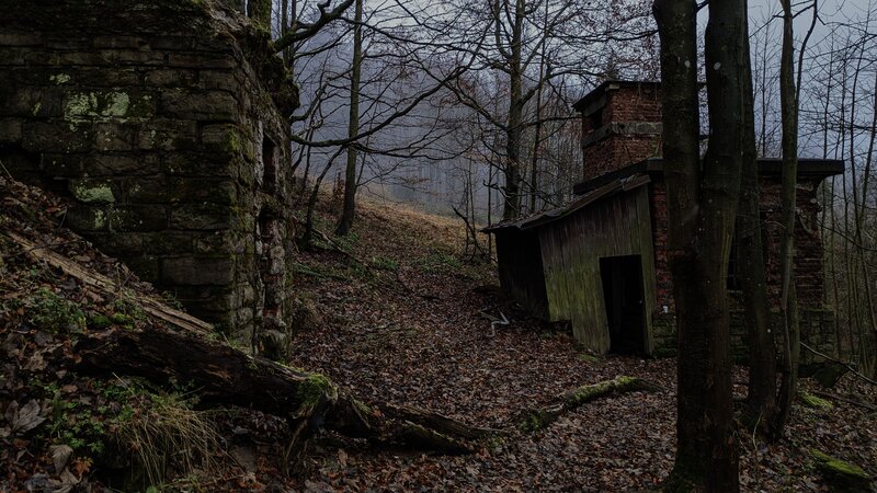 Ruined Buildings in Forest