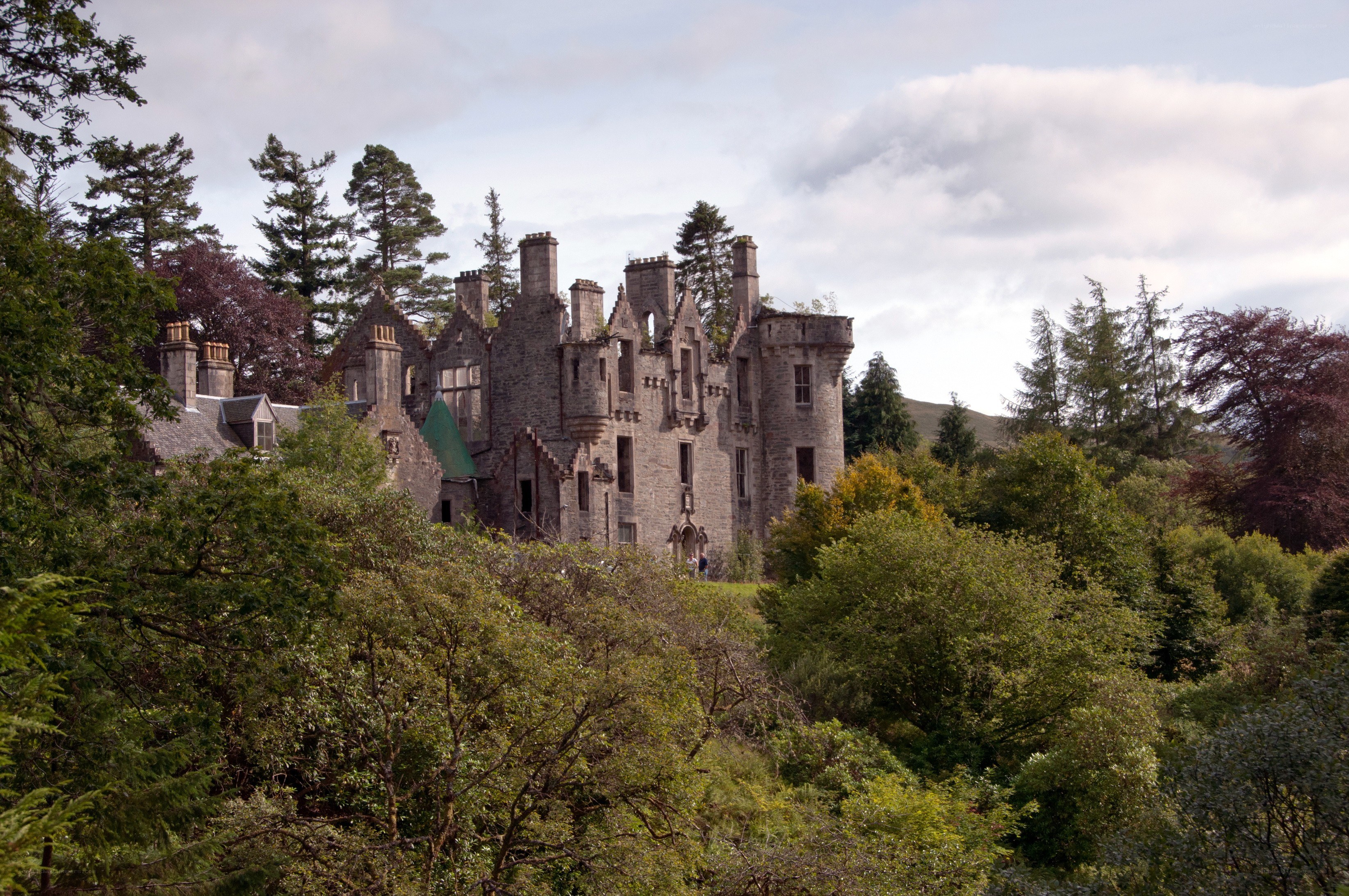 ruined castle in forest