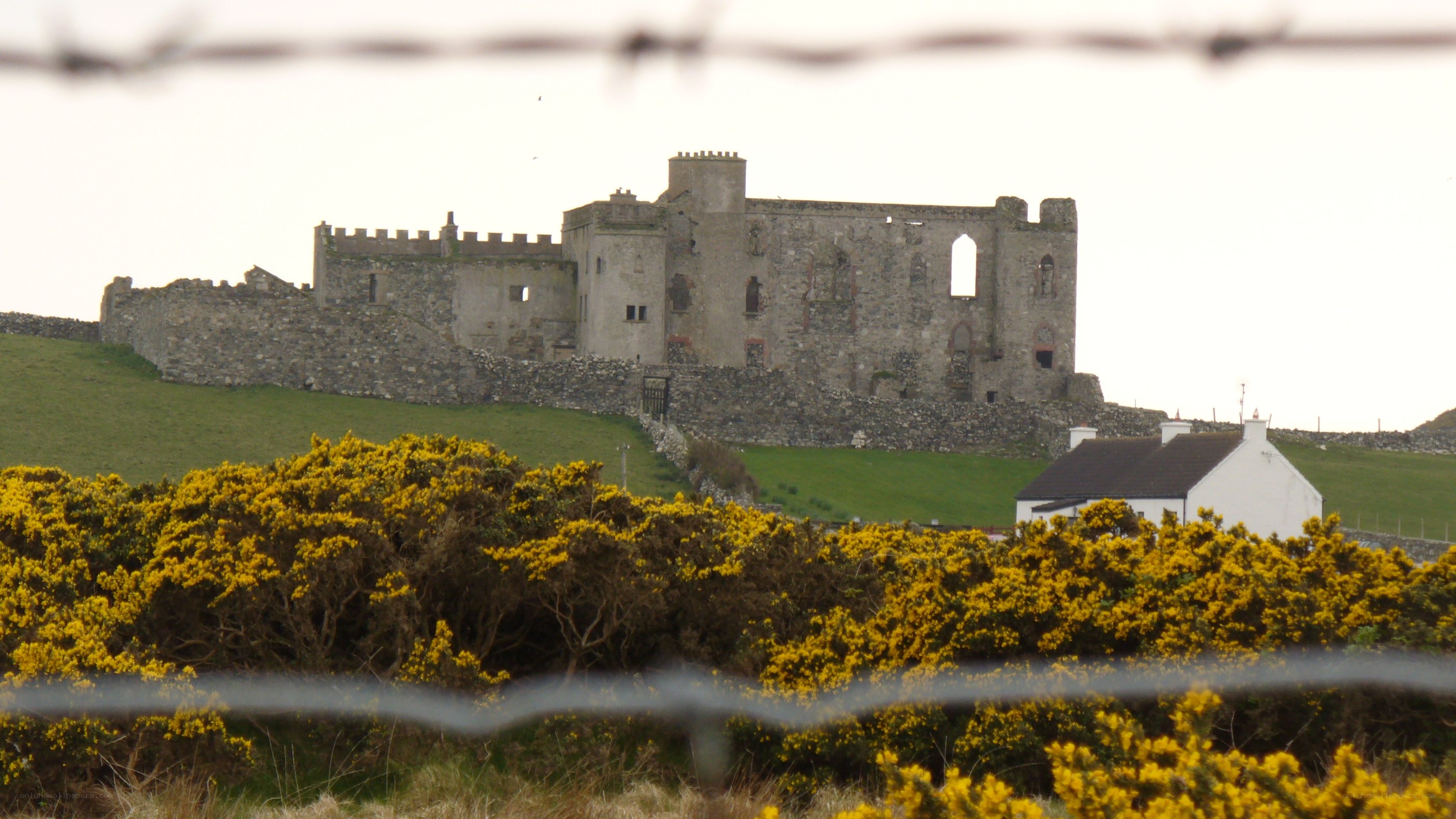 ruined castle on a hill