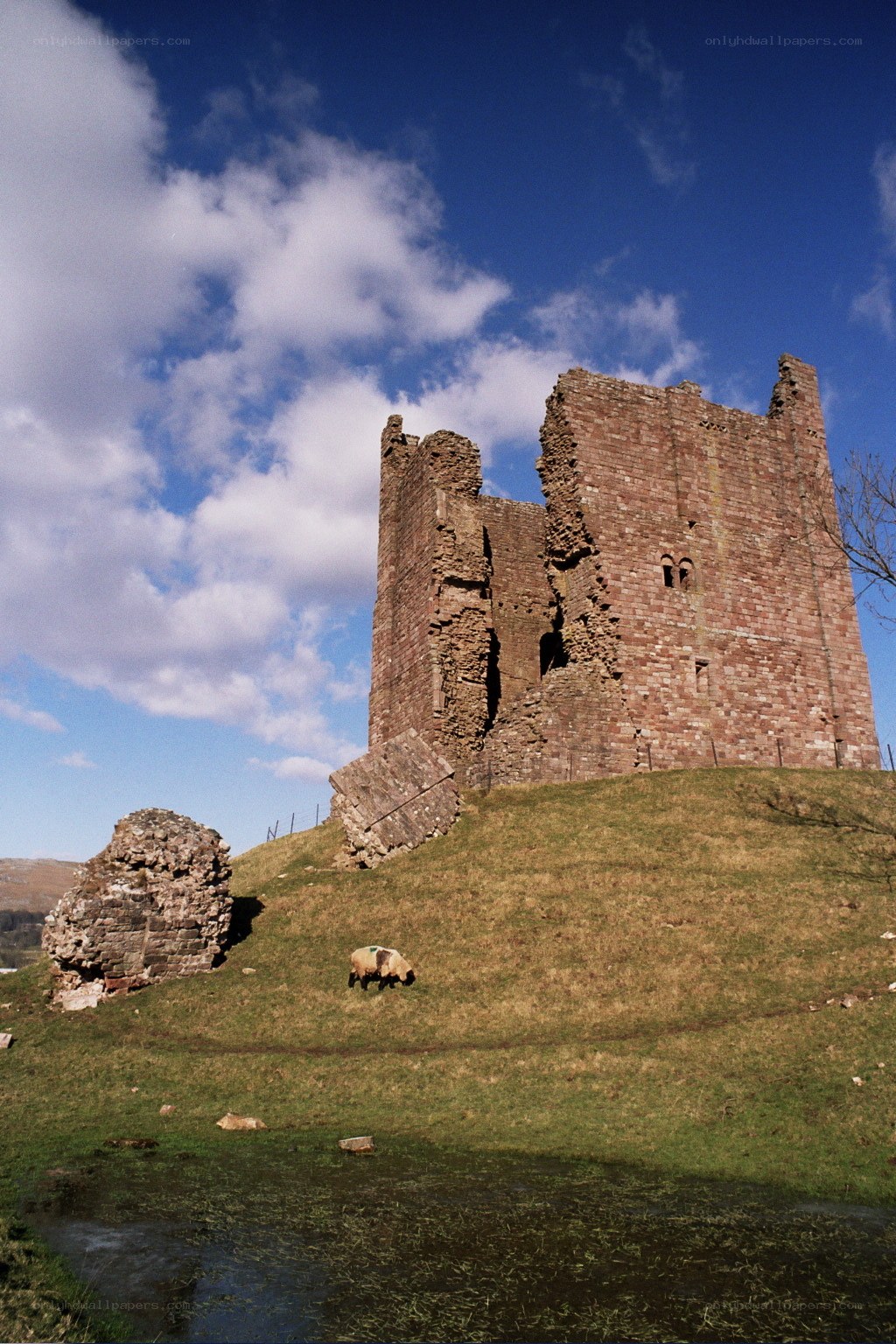 ruined castle on a hill