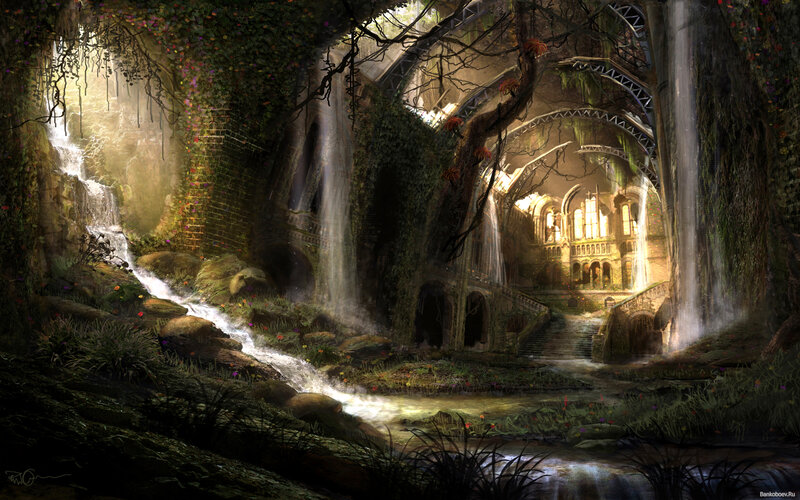 Ruined Cathedral in Forest