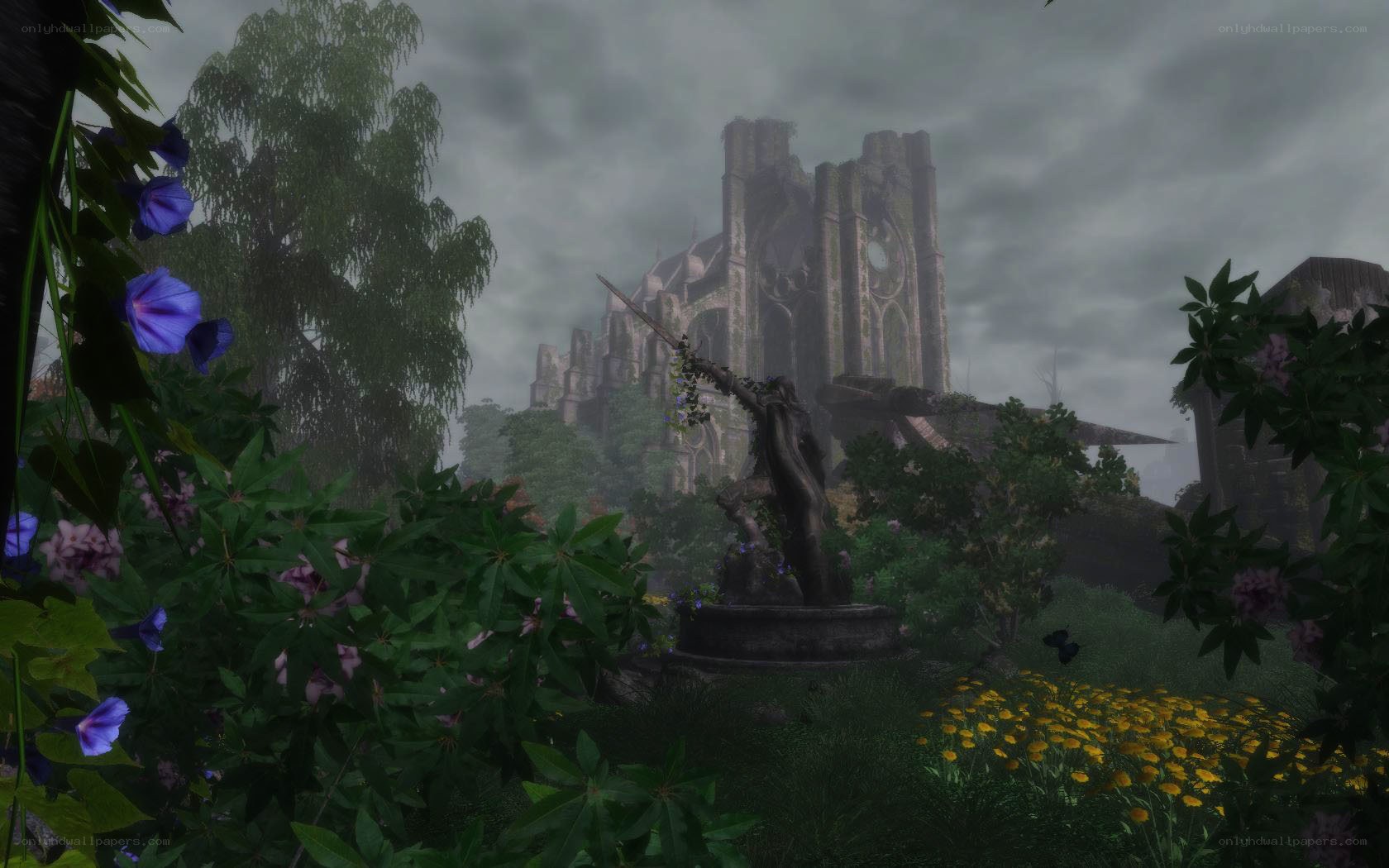 Ruined cathedral in overgrown garden