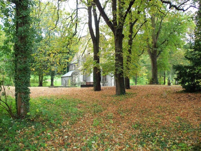 Ruined Church in Forest — Green