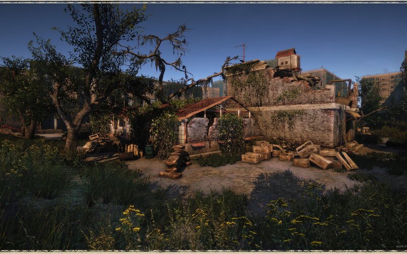 Ruined courtyard with overgrown vegetation