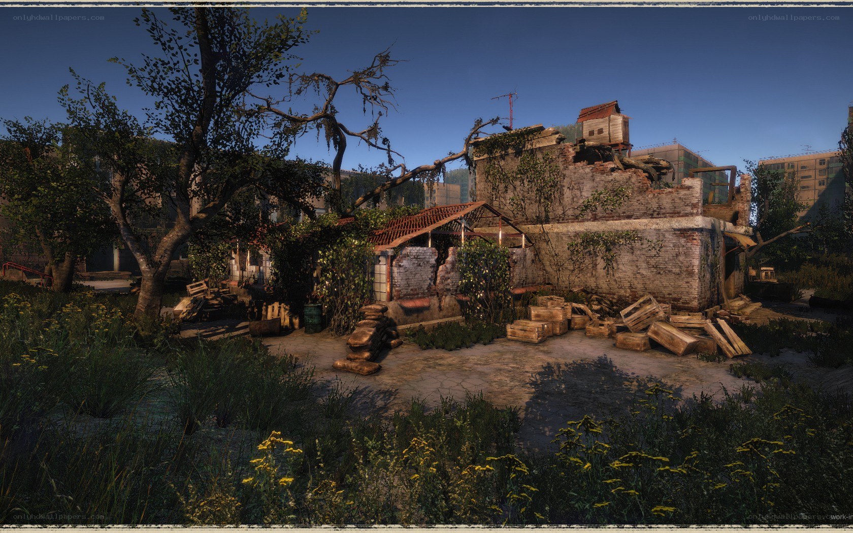 Ruined courtyard with overgrown vegetation