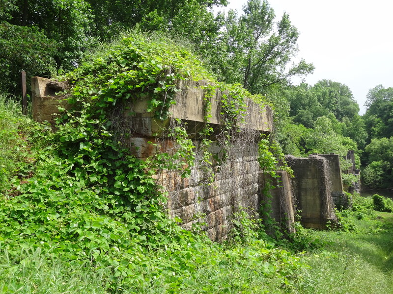 Ruined Stone Bridge — Green, Overgrown