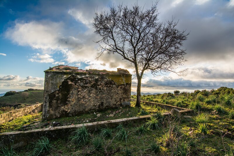 Ruined Stone Building — Green, Dramatic, Afternoon, Photograph, Tree, Grass
