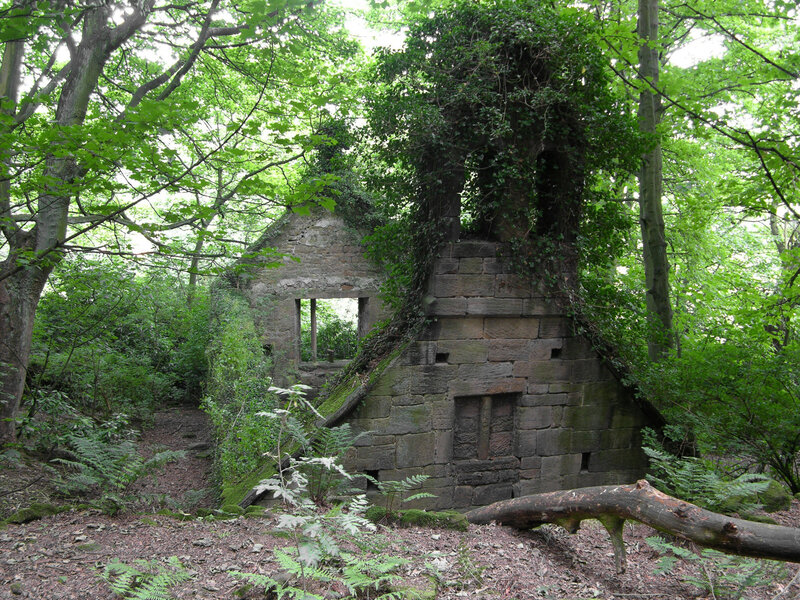 Ruined Stone Building — Green, Overgrown, Afternoon, Photograph