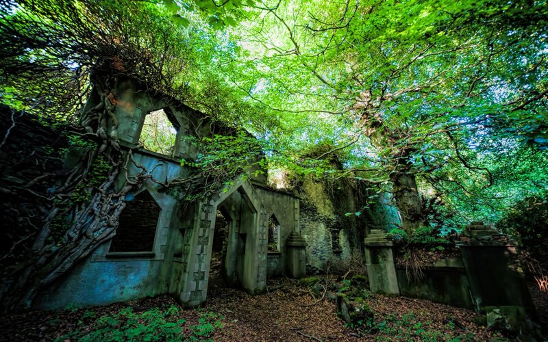 Ruined Stone Building — Green, Overgrown, Afternoon