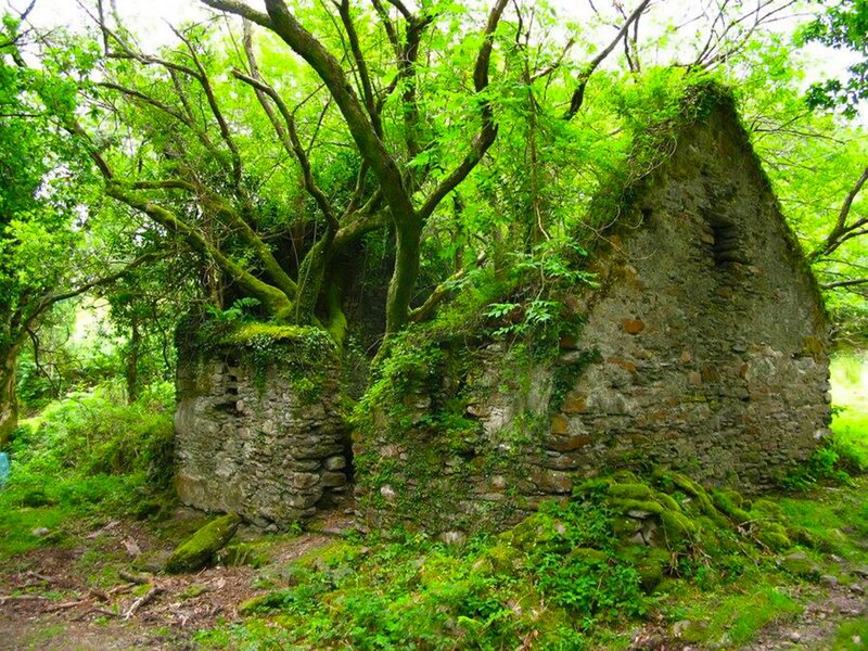 Ruined Stone Building — Green, Overgrown