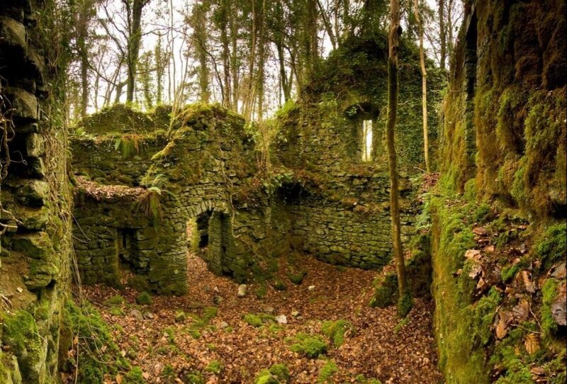 Ruined Stone Building — Green, Serene, Autumn