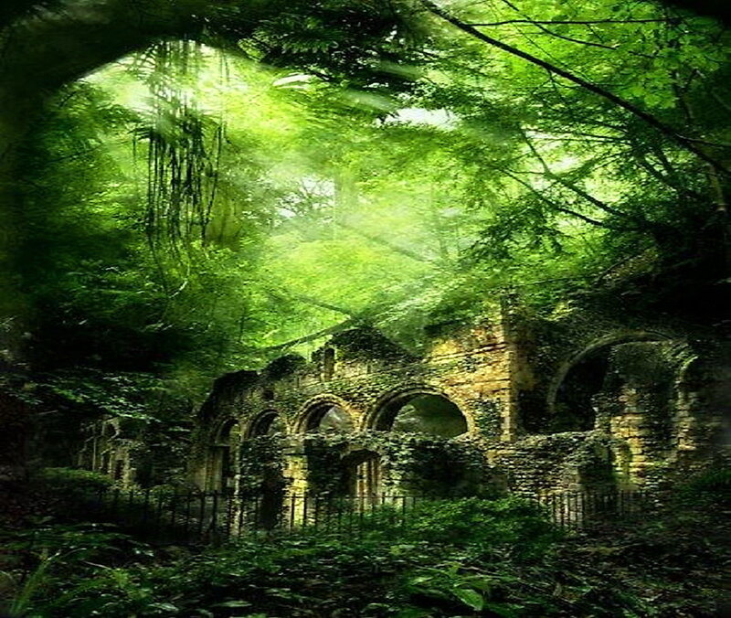 Ruined Stone Building — Green, Serene, Morning
