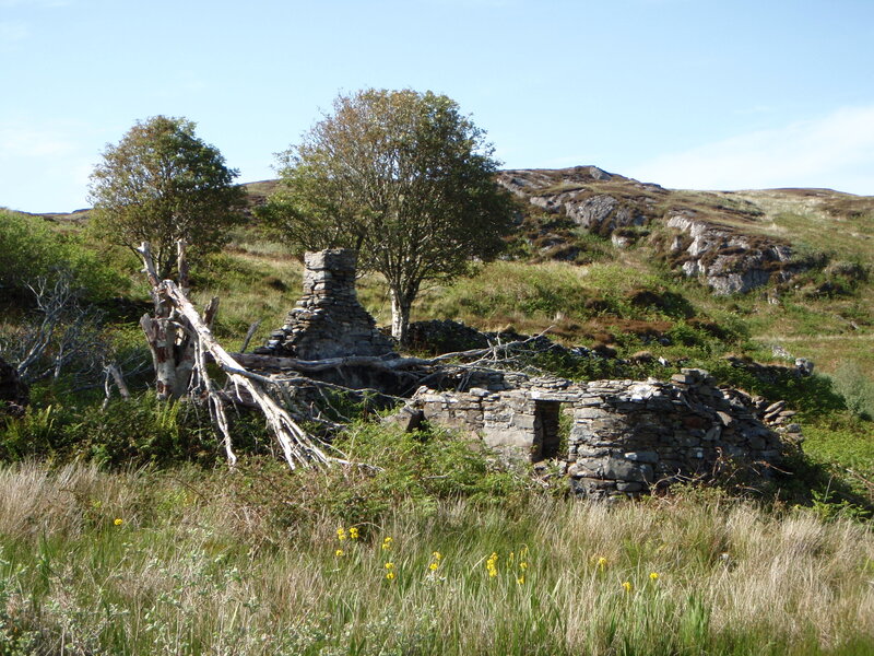Ruined Stone Building — Green