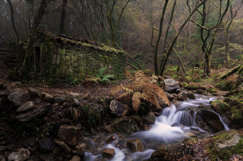 Ruined Stone Hut by Stream