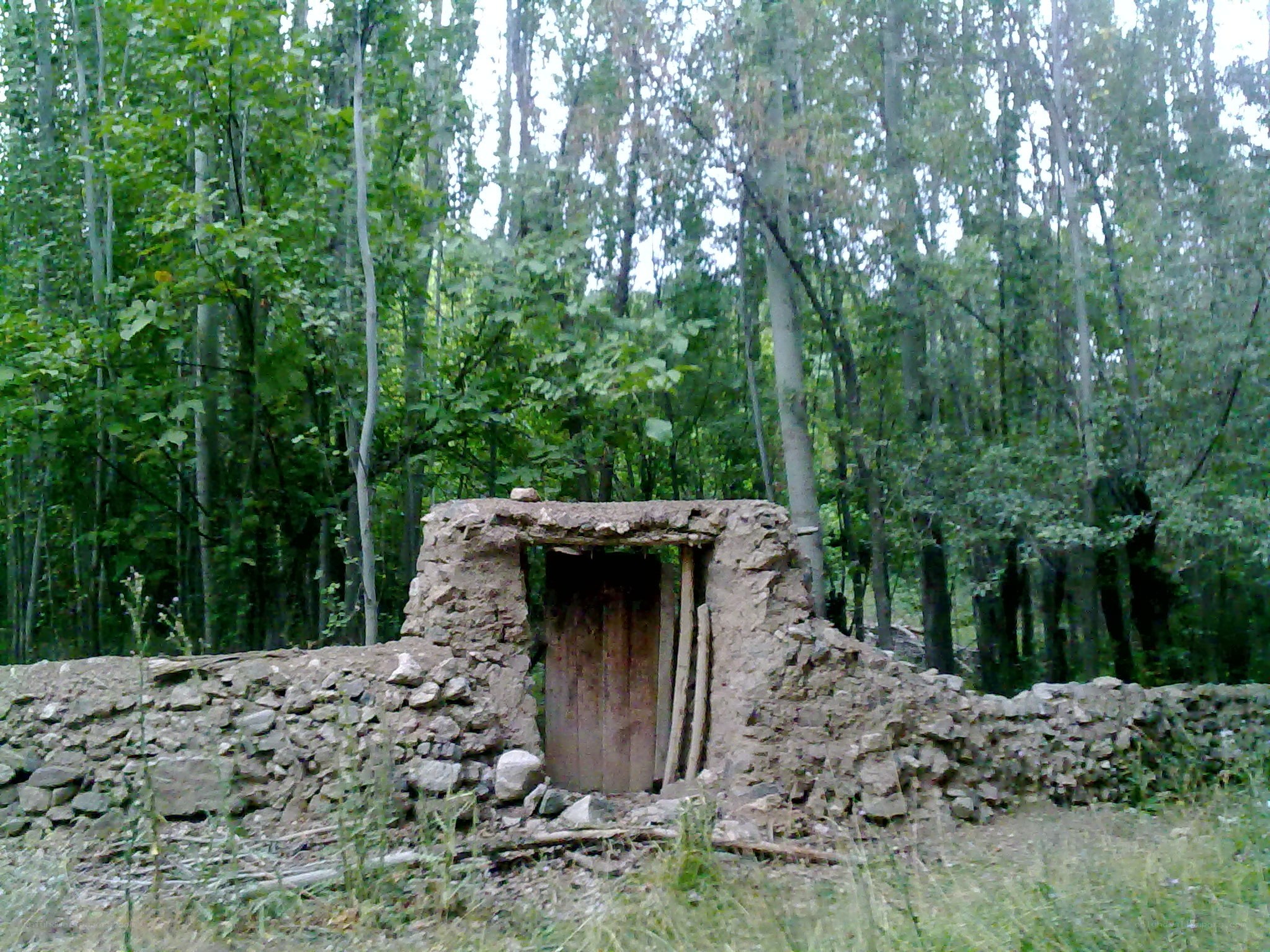 Ruined stone hut in forest